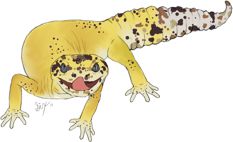 Leopard Lizards Transparent Png (black, salmon)