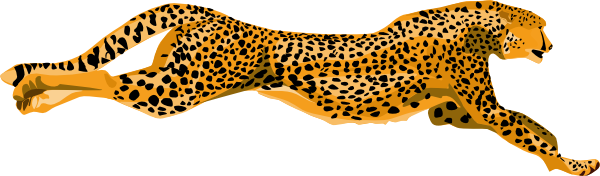 Leopards Png Photos (white, olive, chocolate)