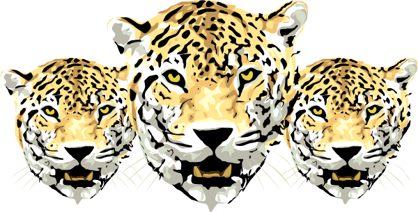 Leopards Png Pic (white, black, beige)