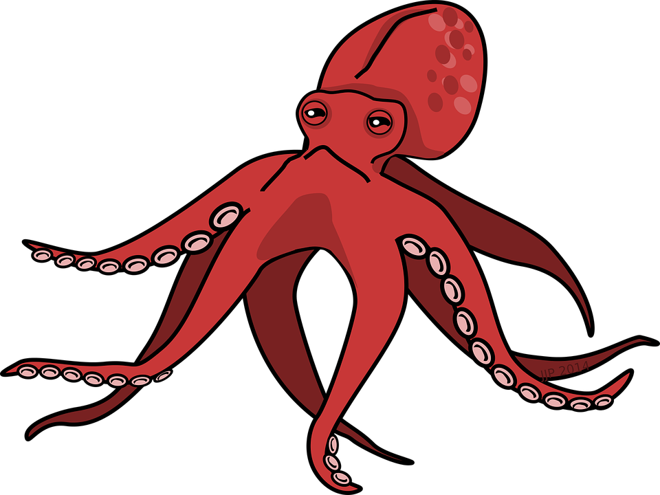 Cephalopod Png Photo (black, chocolate, maroon)