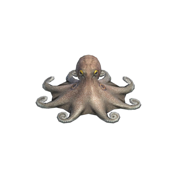 Cephalopod Transparent Png (black)