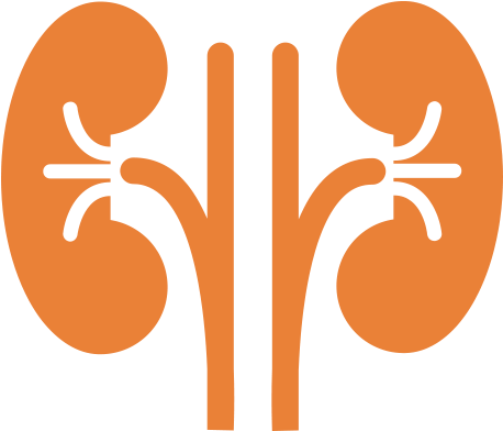 Nephrologist Png Hd (olive, chocolate, black)