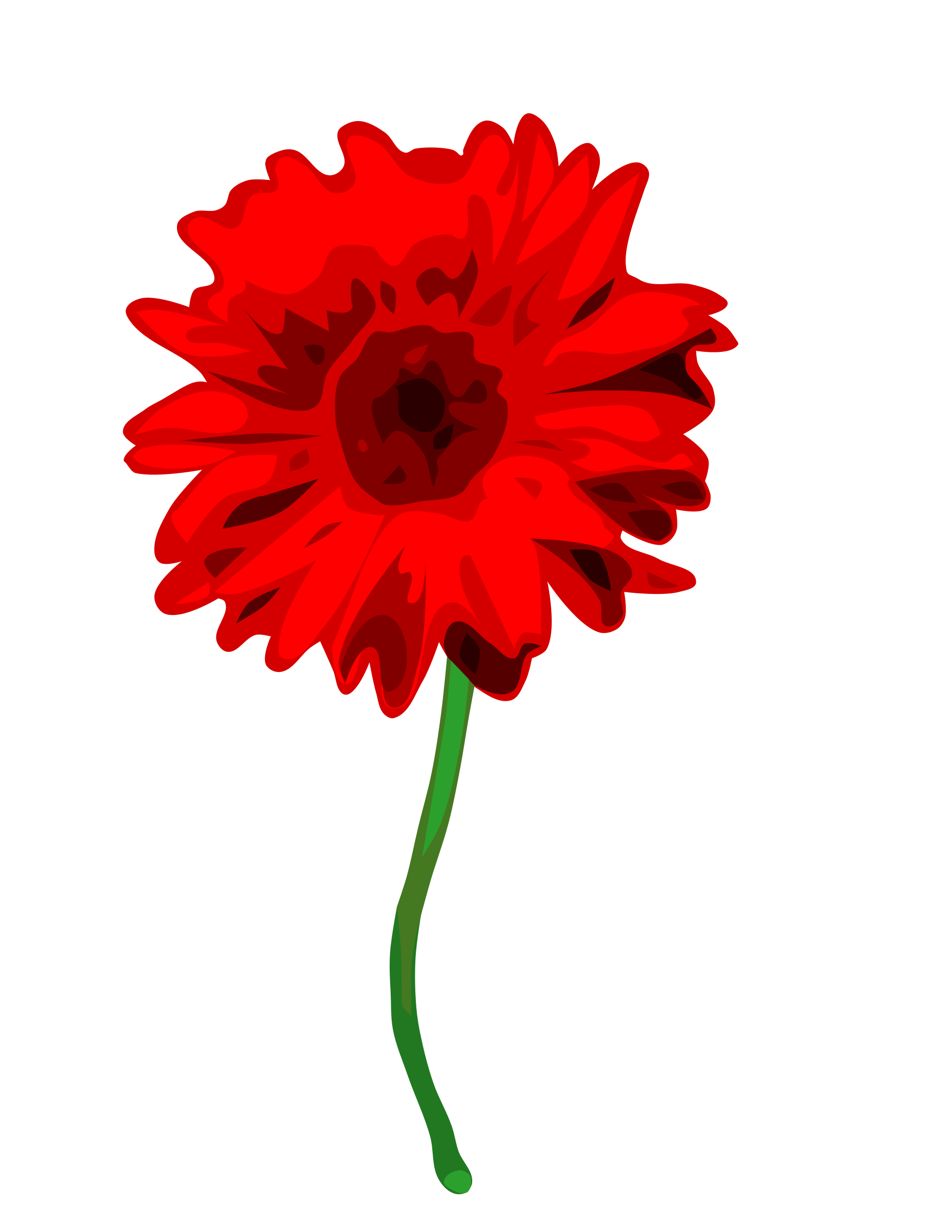 Gerbera Transparent Png (black, red, maroon)