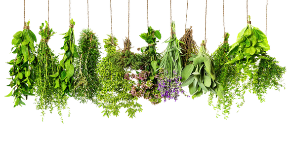 Herbs Png File (black)