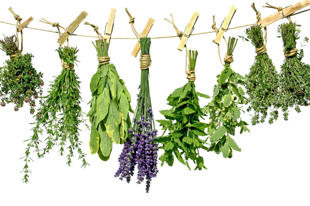 Herbs Png Image (black)