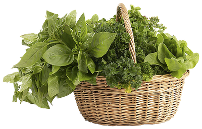 Herbs Png Photos (black, gray, green)