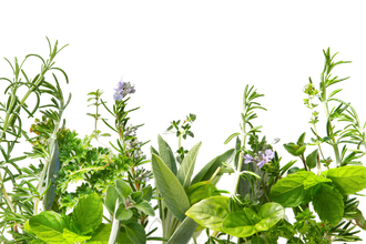 Herbs Transparent Png (black, gray)