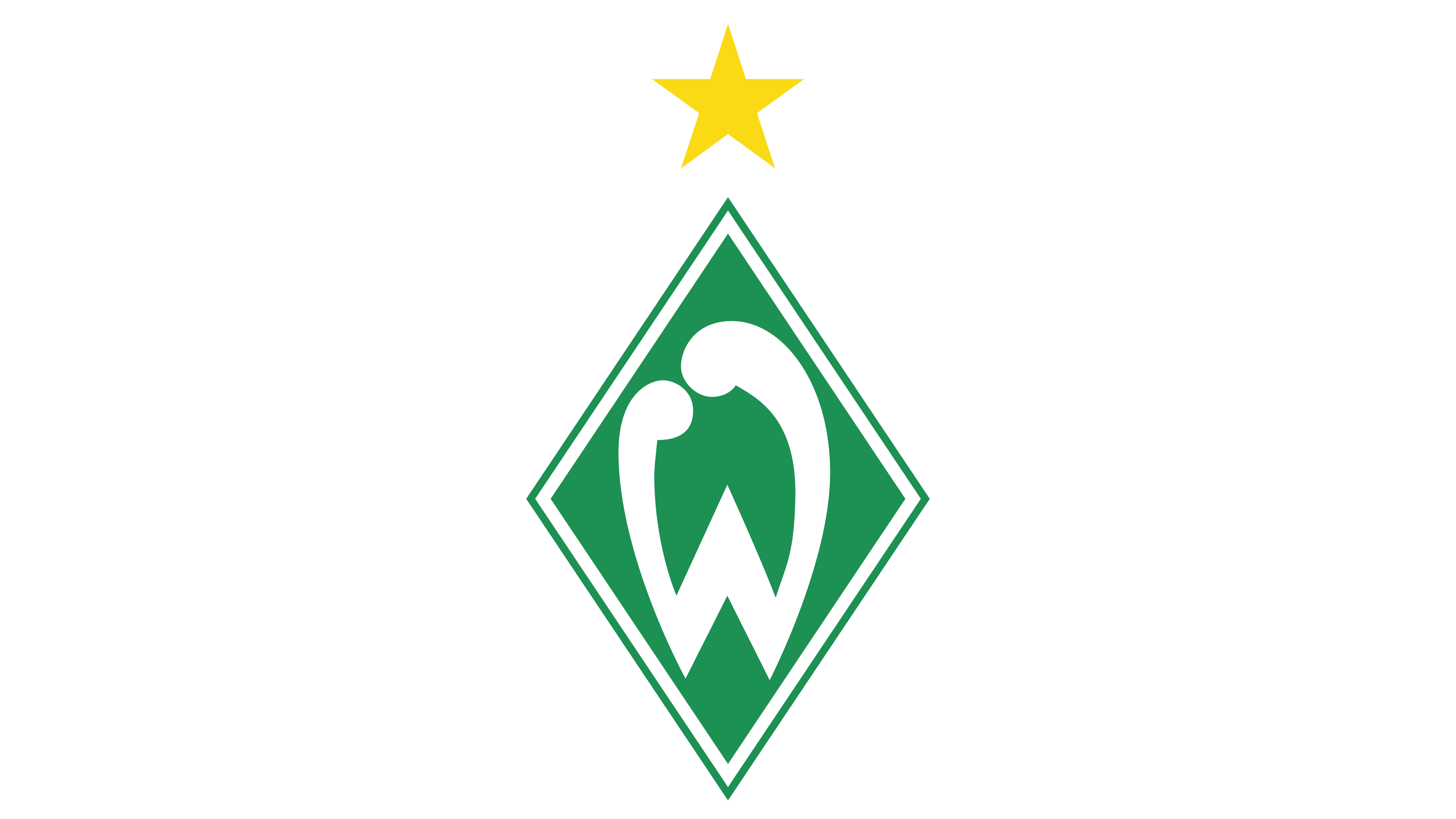 Werder Bremena.J. Styles Png (teal, gray, white)