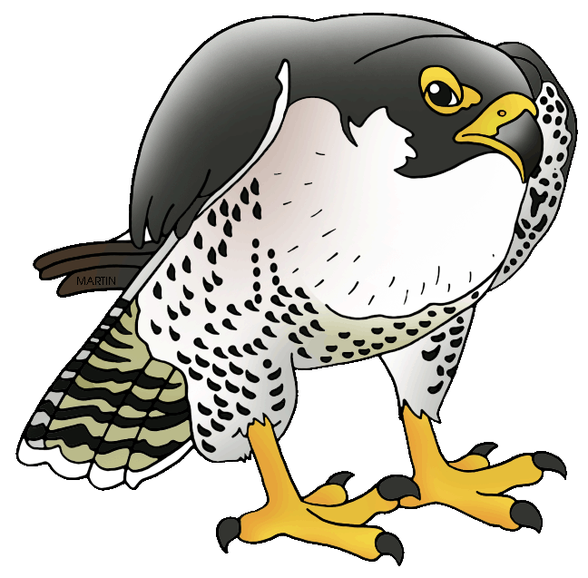 Peregrine Falcon Png Free Download (black, white)