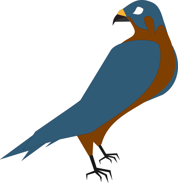 Peregrine Falcon Png Transparent Image (teal, maroon, white)