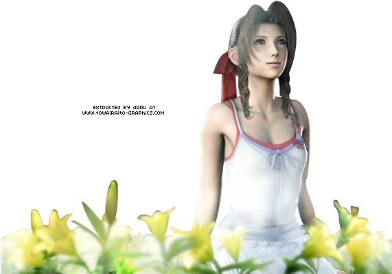 Aerith Gainsborough Png Image (white, black)