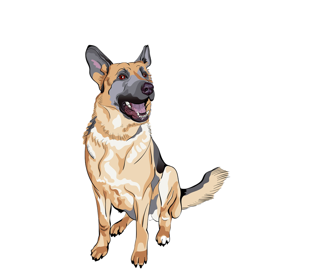 German Shepherd Png Background Isolated Image (maroon, gray, pink, white)