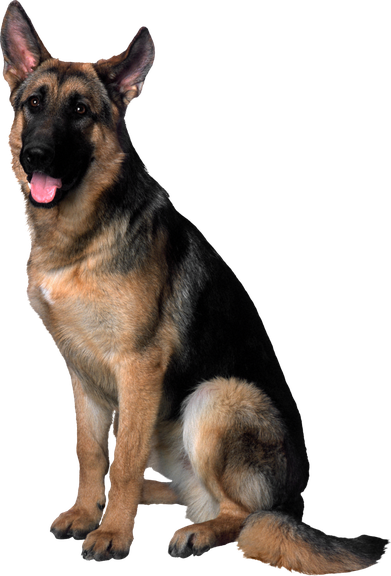 German Shepherd Png File (black)