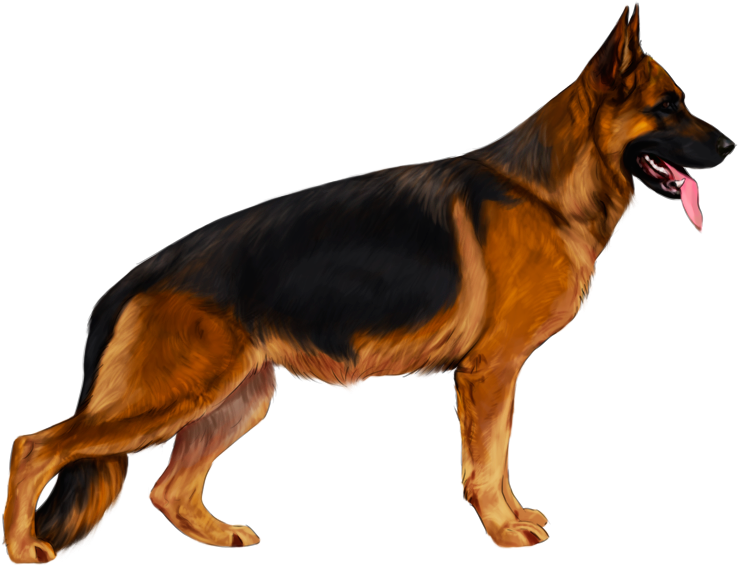 German Shepherd Png Isolated Transparent Picture (black)