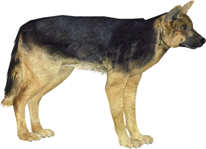 German Shepherd Transparent Isolated Background (indigo, black)