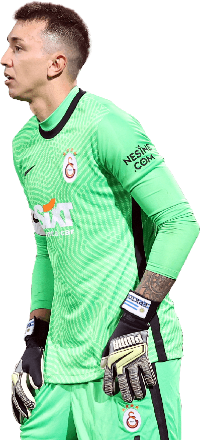 Fernando Muslera Png Hd (black, mint, pink)