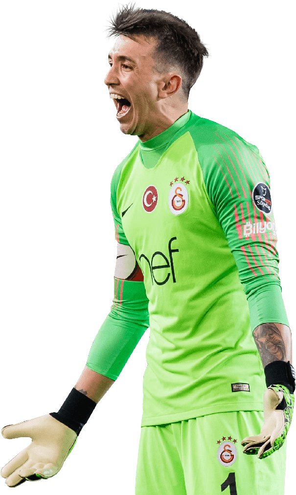 Fernando Muslera Png Pic (black, olive, mint)