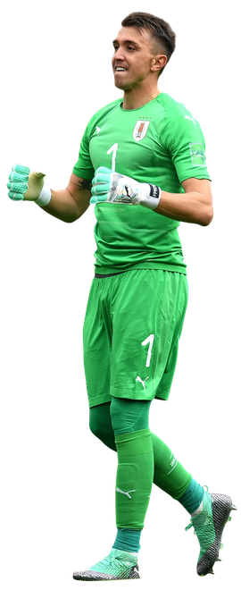 Fernando Muslera Png (teal, black, gray, green)