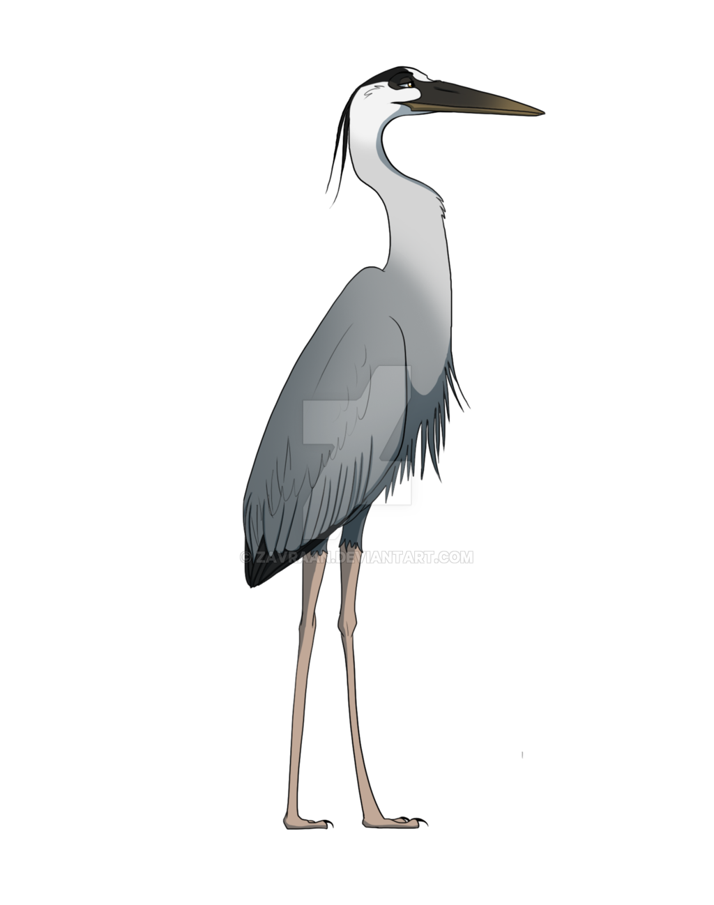 Heron Png Clipart (black, gray, silver)