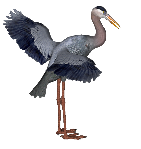 Heron Png Hd (white, gray, lavender, silver, pink)