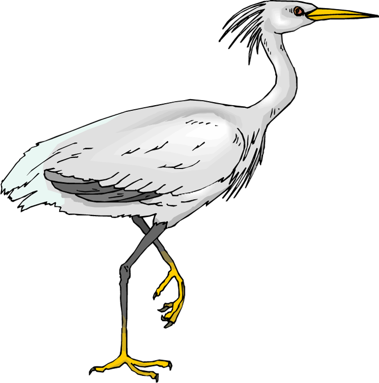 Heron Png Transparent Picture (black, gray, lavender, white)