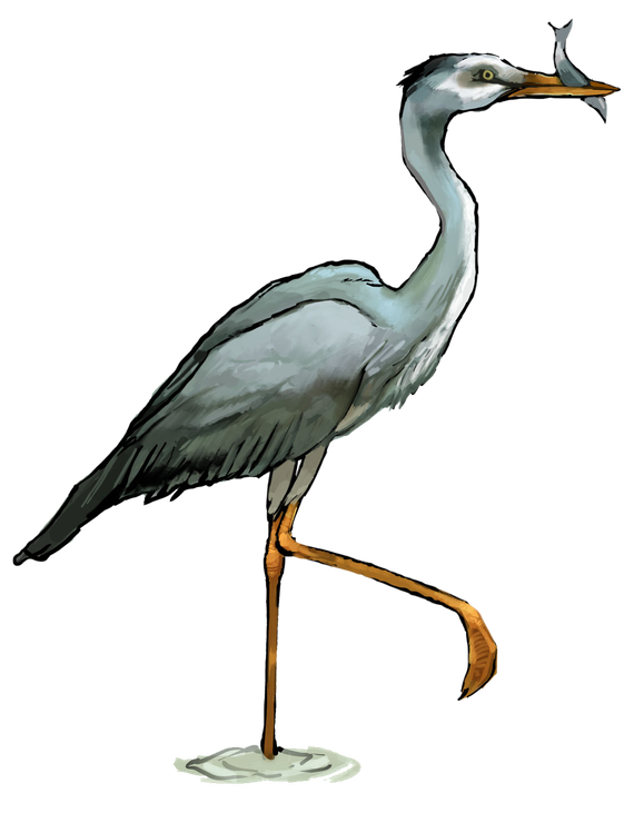 Heron Png Transparent (black)