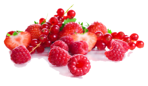 Berries Png Image (white, beige)