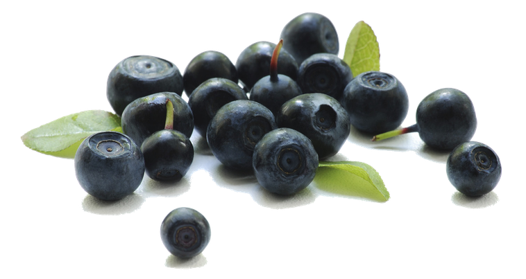 Berries Transparent Background (black)