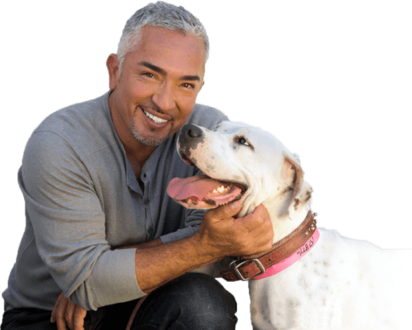 Cesar Millan Png (white, gray, black)