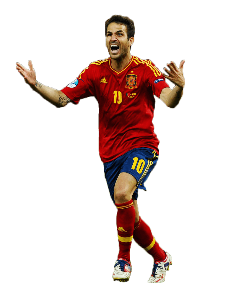 Cesc Fabregas Png Photo (gray, maroon)