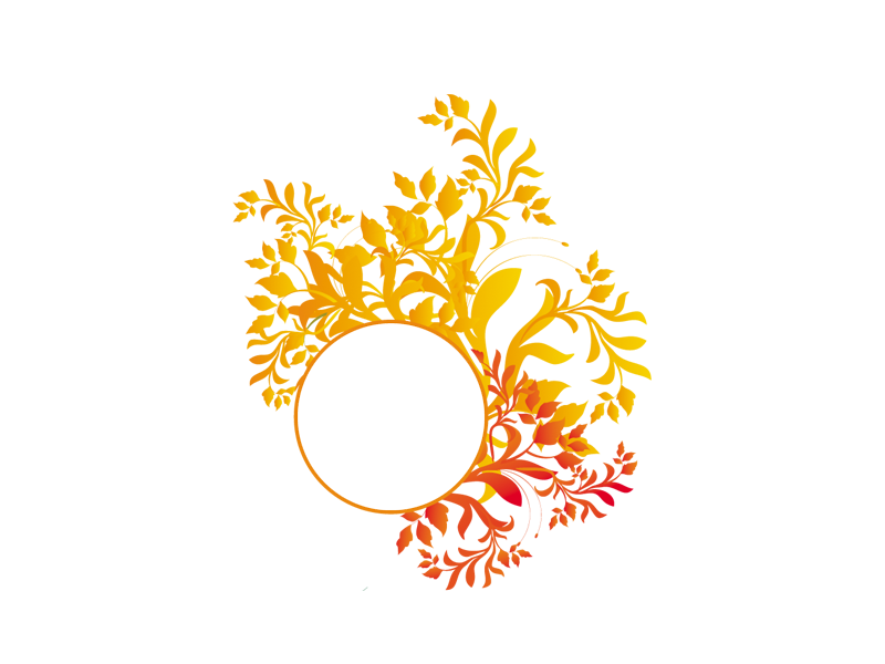 Design Png Photo (orange, white, gold)