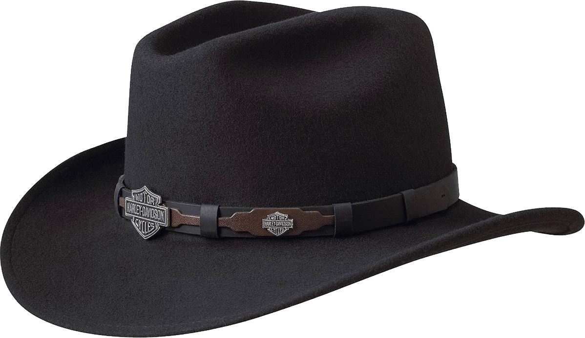 Western Cowboy Hat Png Image (indigo, black, white)