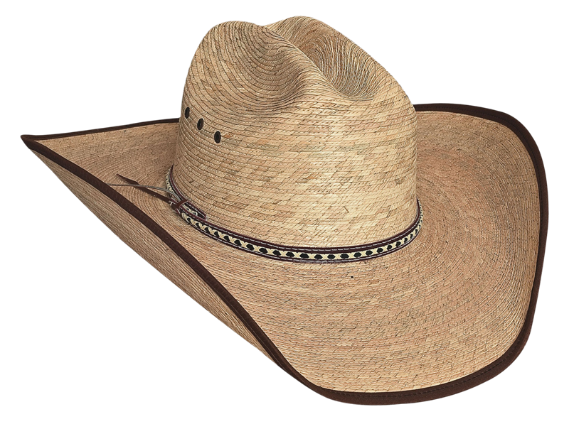 Western Cowboy Hat Png Pic Background (black, salmon, gray)