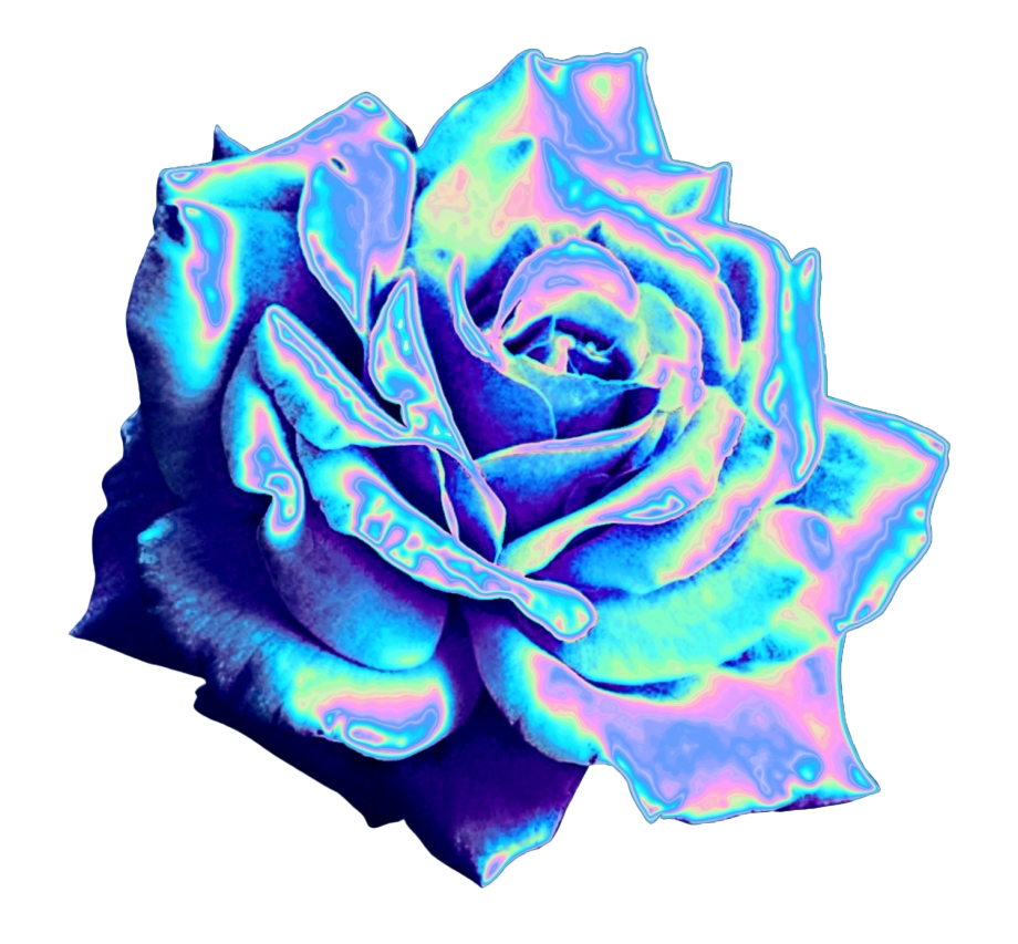 Aesthetic Flower Png Free Image (black, navy, white)