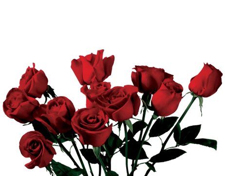 Aesthetic Flowers Png Hd (maroon, black)