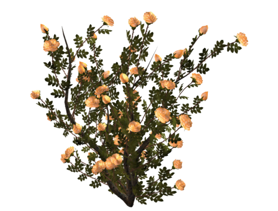 Aesthetic Flowers Png Picture (black)