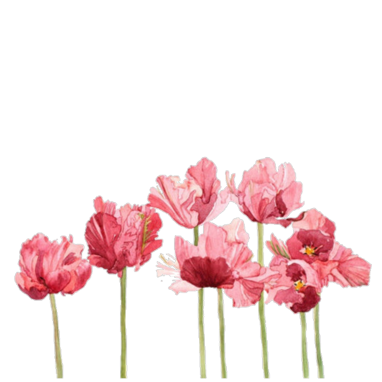 Aesthetic Flowers Transparent Png (black)