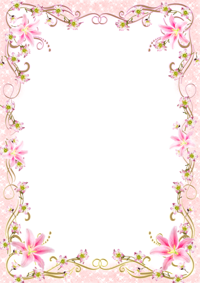 Aesthetic Frame Transparent Png (pink, black)