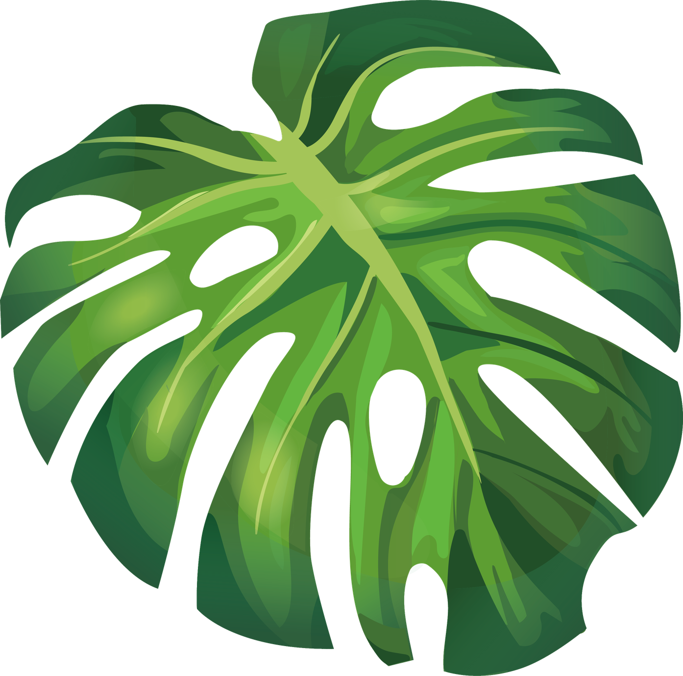 Aesthetic Leaf Png Free Download (green, black, gray, olive)