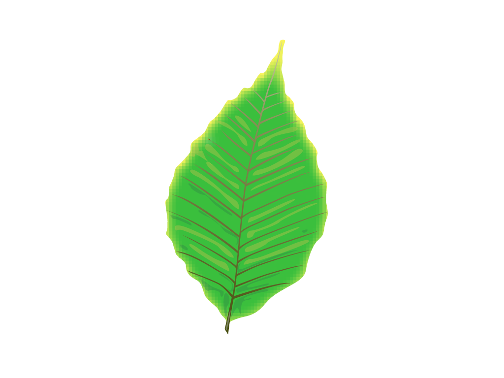 Aesthetic Leaf Png Photo (green, lime, black)