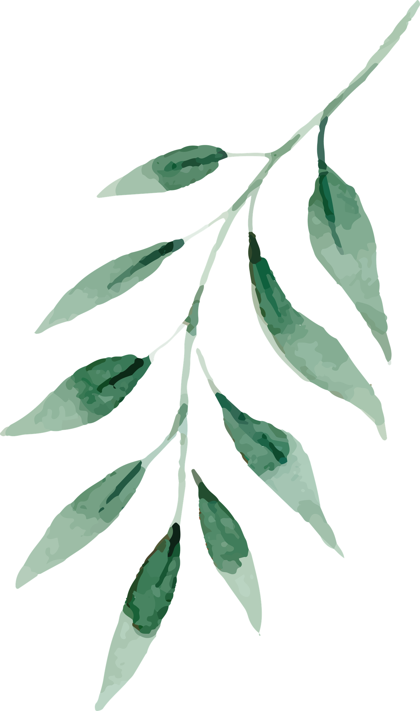 Aesthetic Leaves Png Hd (black, gray)