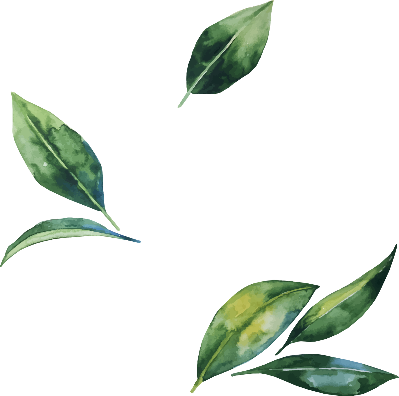 Aesthetic Leaves Png Isolated Hd (black, gray)