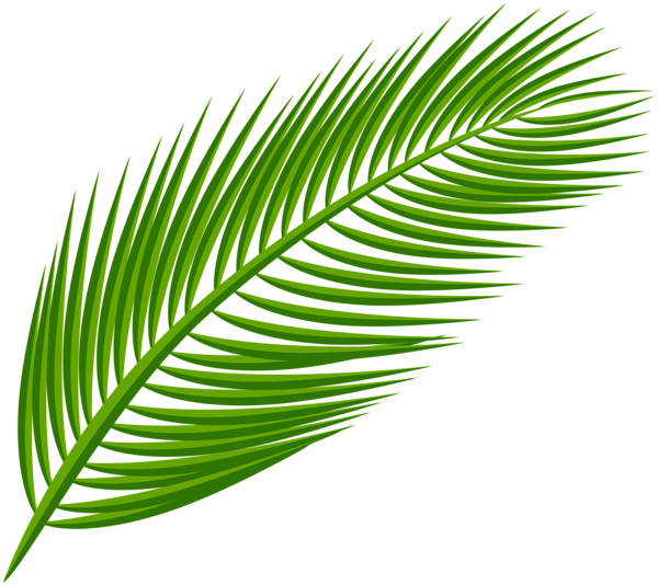 Aesthetic Leaves Png Photos (green, black, olive)