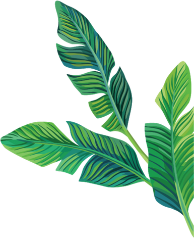 Aesthetic Leaves Png Transparent (black, gray)