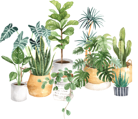 Aesthetic Plant Png Hd (white, lavender, black, silver)