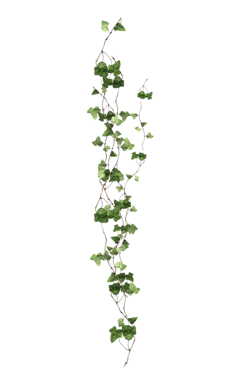 Aesthetic Plant Png Isolated File (black)