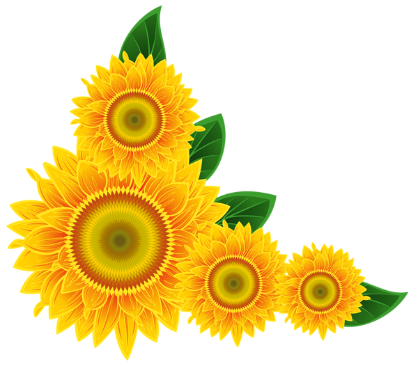 Aesthetic Sunflower Png Isolated Picture (gold, black, orange)