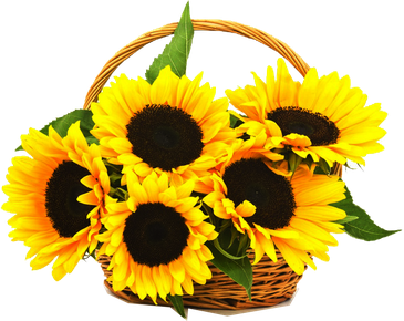 Aesthetic Sunflower Png Picture (yellow, black, gold)