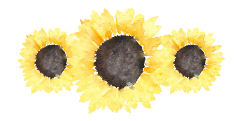 Aesthetic Sunflower Png (black, pink, gray, beige)