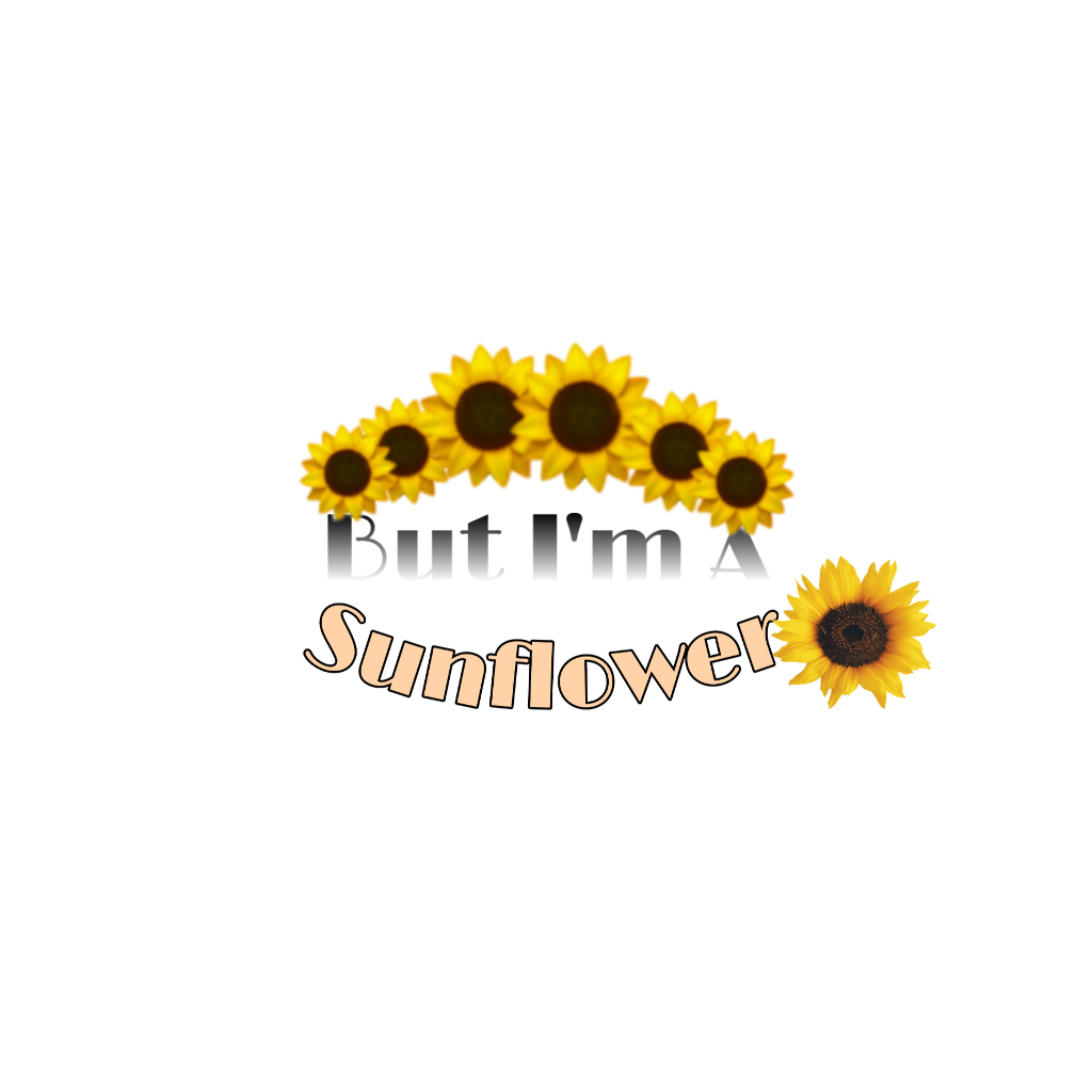 Aesthetic Sunflower Vector Png Image (black, gray, indigo)